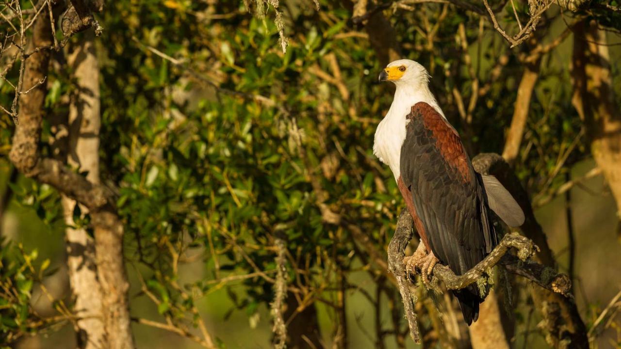 Kwalucia Private Safari Retreat Ξενοδοχείο Saint Lucia Estuary Εξωτερικό φωτογραφία