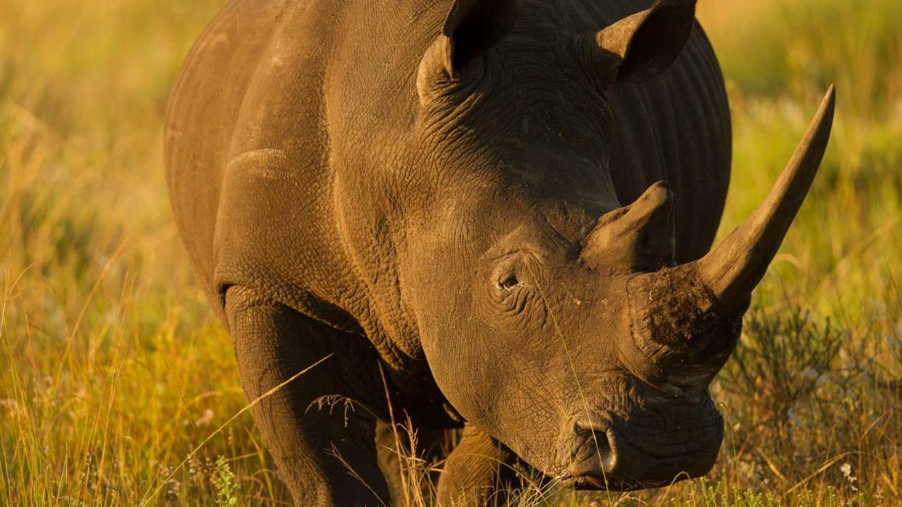 Kwalucia Private Safari Retreat Ξενοδοχείο Saint Lucia Estuary Εξωτερικό φωτογραφία