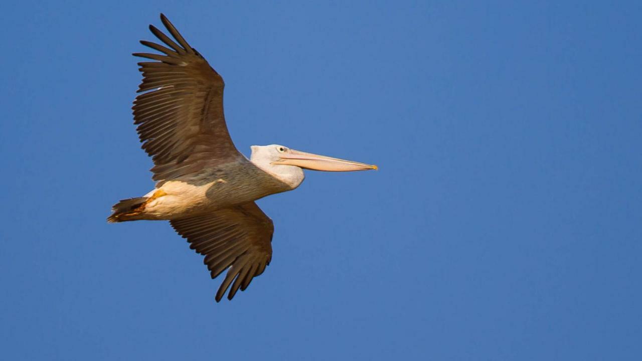 Kwalucia Private Safari Retreat Ξενοδοχείο Saint Lucia Estuary Εξωτερικό φωτογραφία