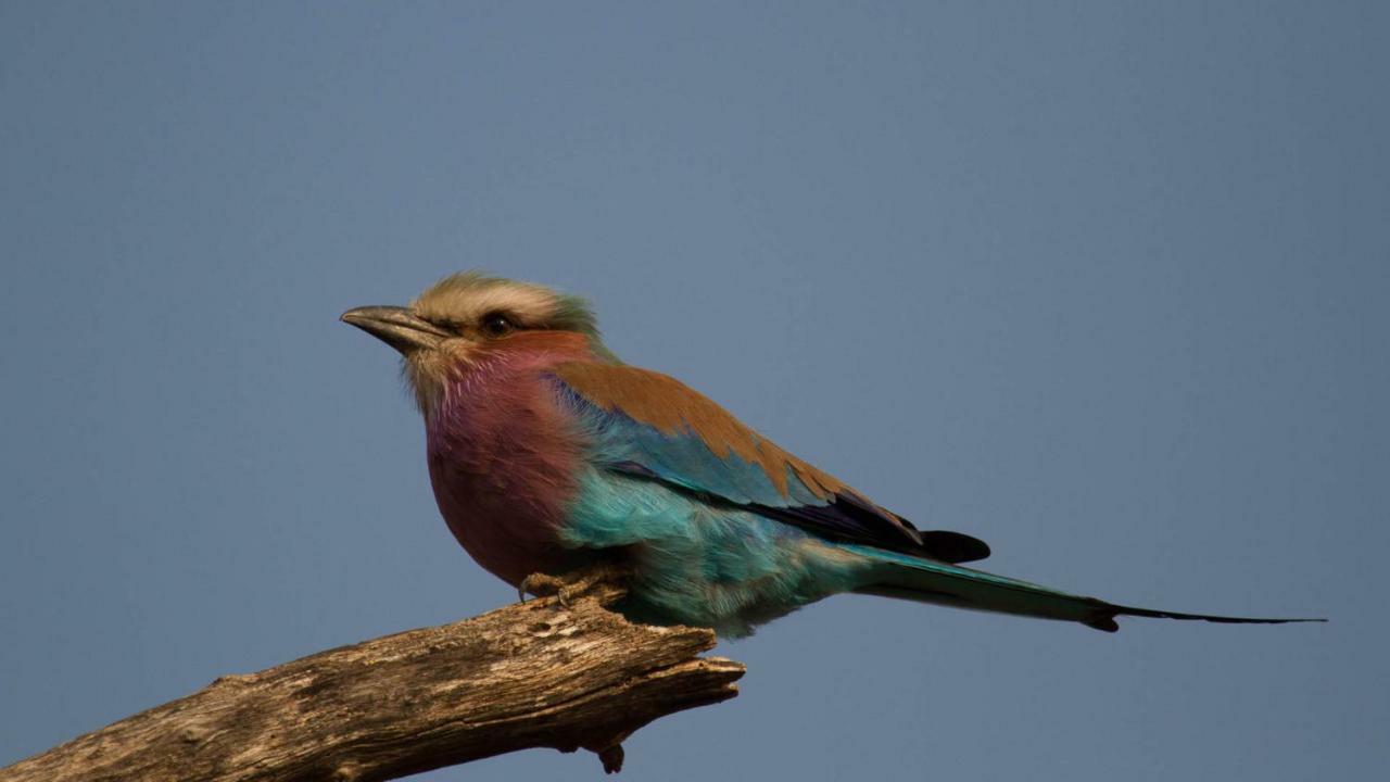 Kwalucia Private Safari Retreat Ξενοδοχείο Saint Lucia Estuary Εξωτερικό φωτογραφία