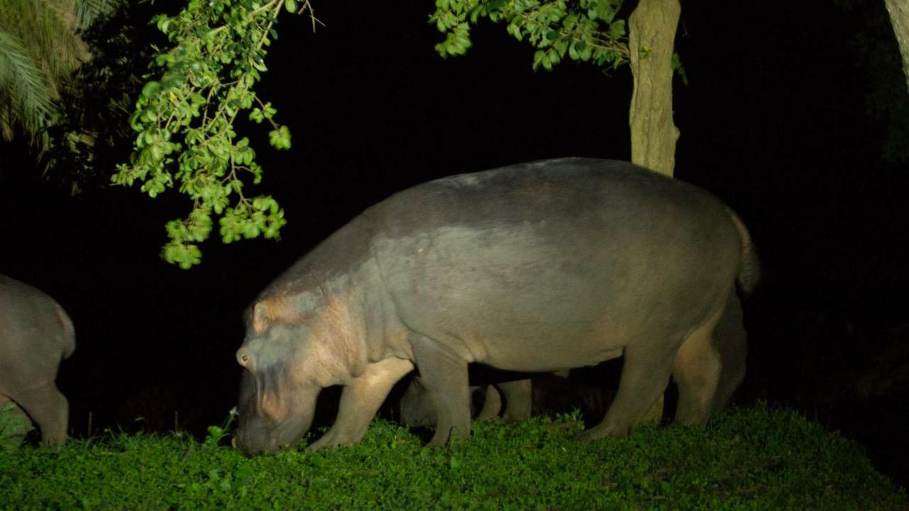 Kwalucia Private Safari Retreat Ξενοδοχείο Saint Lucia Estuary Εξωτερικό φωτογραφία