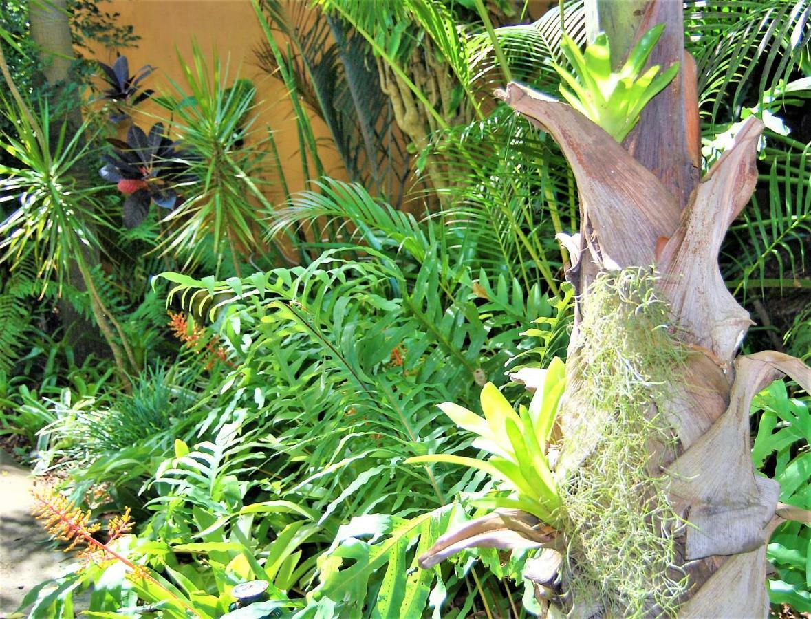 Kwalucia Private Safari Retreat Ξενοδοχείο Saint Lucia Estuary Εξωτερικό φωτογραφία