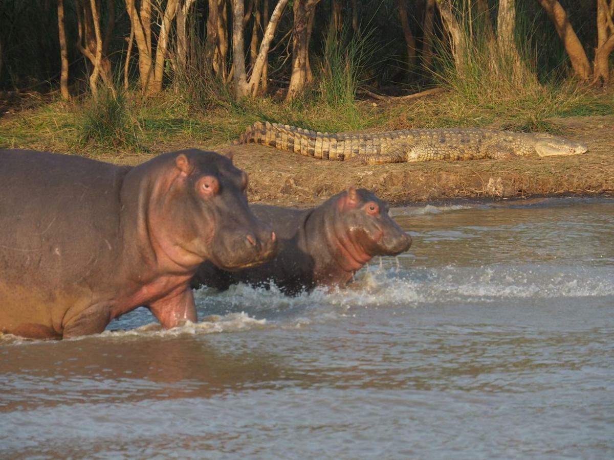 Kwalucia Private Safari Retreat Ξενοδοχείο Saint Lucia Estuary Εξωτερικό φωτογραφία