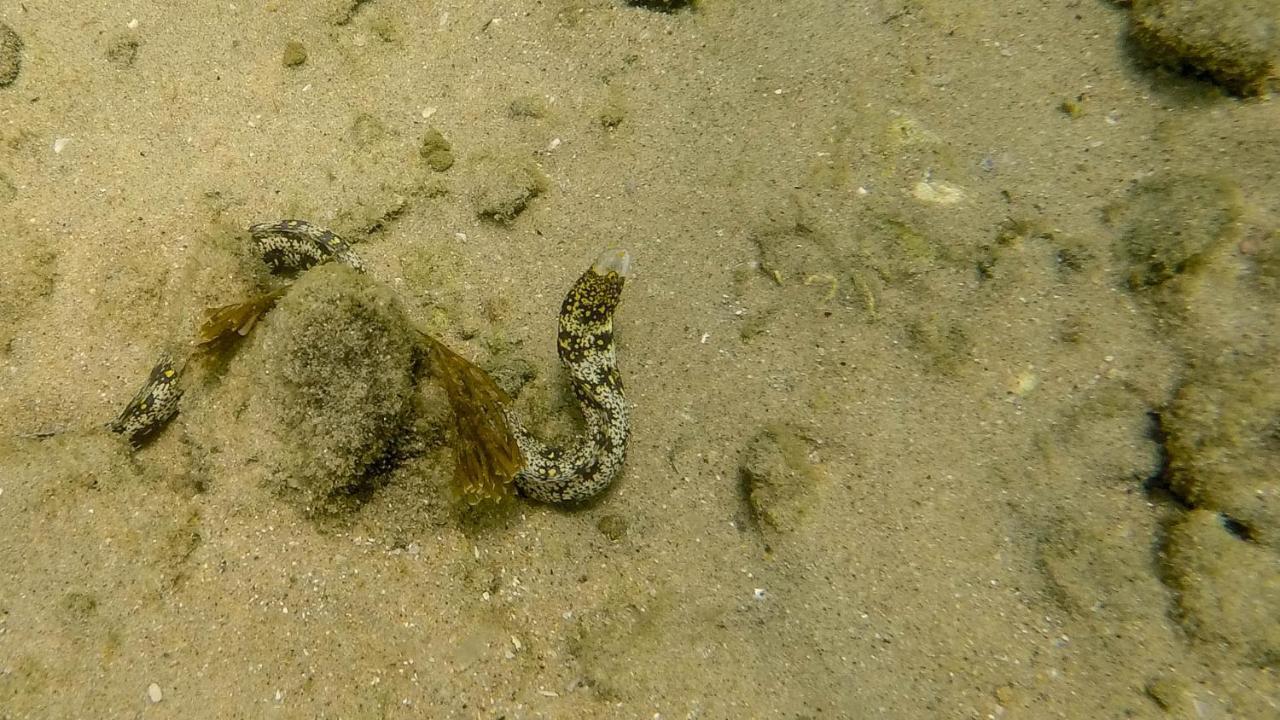 Kwalucia Private Safari Retreat Ξενοδοχείο Saint Lucia Estuary Εξωτερικό φωτογραφία