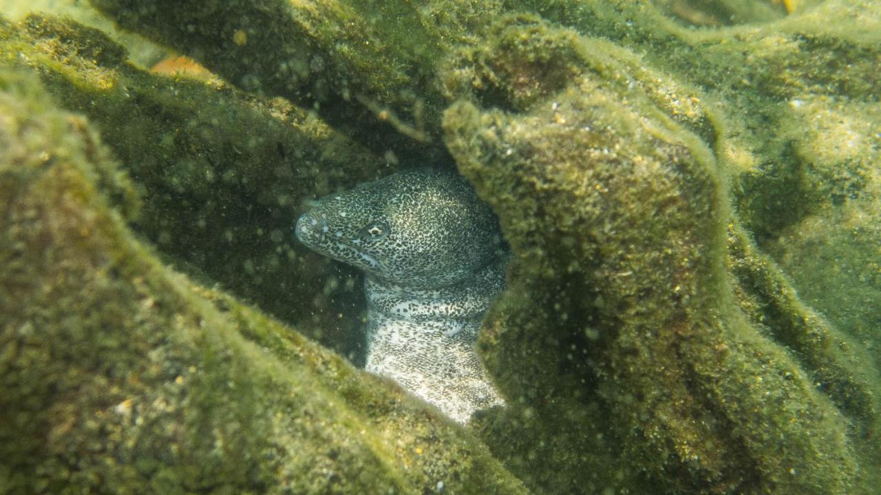 Kwalucia Private Safari Retreat Ξενοδοχείο Saint Lucia Estuary Εξωτερικό φωτογραφία